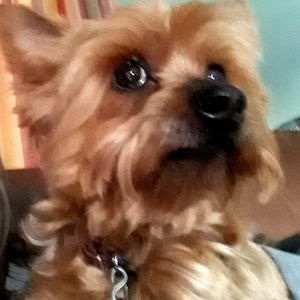 Meet your Posher, Janelle